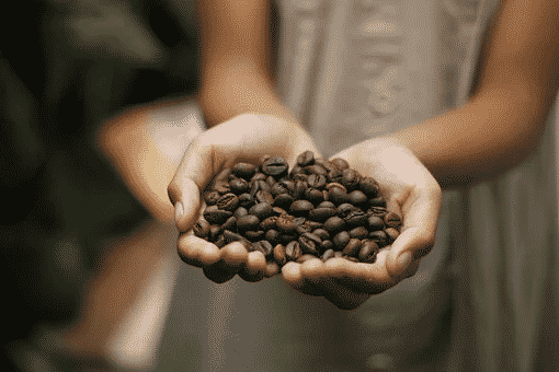 A pair of hands forming a bowl and filled with roasted coffee beans